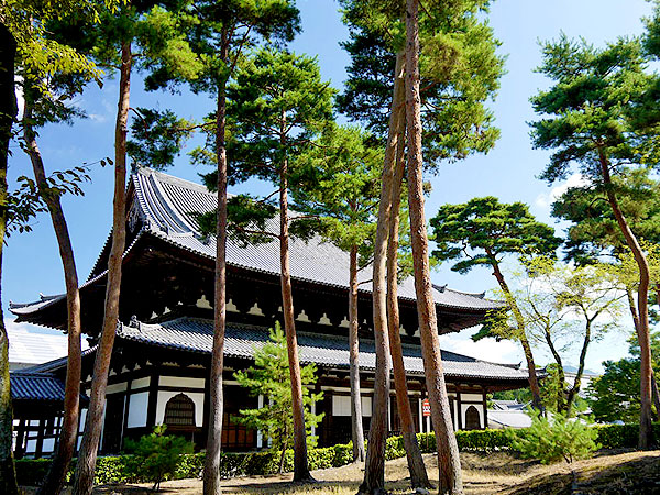 室町幕府 考古学者とめぐる義満の王都 巨大権力の中枢 花の御所と相国寺へ 史上最高 幻の七重塔はどこにあった 日本国王 義満の最強首都構想 Ky18b196 京都の住民がガイドする京都のミニツアー まいまい京都