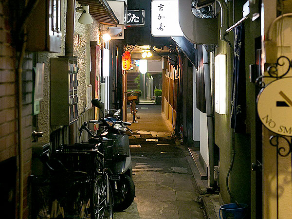 京都路地裏研究所 祇園のぬけろうじ探検 路地奥のディープ酒場で一杯 花街の路地の生態系 会館 ビルに潜む小道 ネオン踊る盛り場を訪ねて Ky18d292 京都の住民がガイドする京都のミニツアー まいまい京都