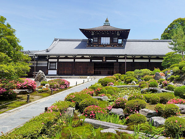 中止 東福寺 庭師とめぐる東福寺 青もみじの大海を渡る 三浦が贈るマイベスト新緑 相対する池泉式庭園と枯山水 Kyb1 京都の住民がガイドする京都のミニツアー まいまい京都